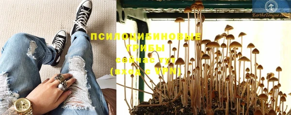 спайс Алексин