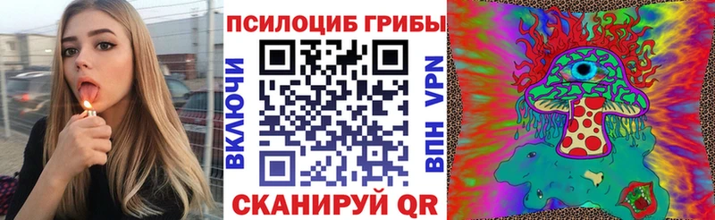 купить закладку  Дудинка  Галлюциногенные грибы MAGIC MUSHROOMS 